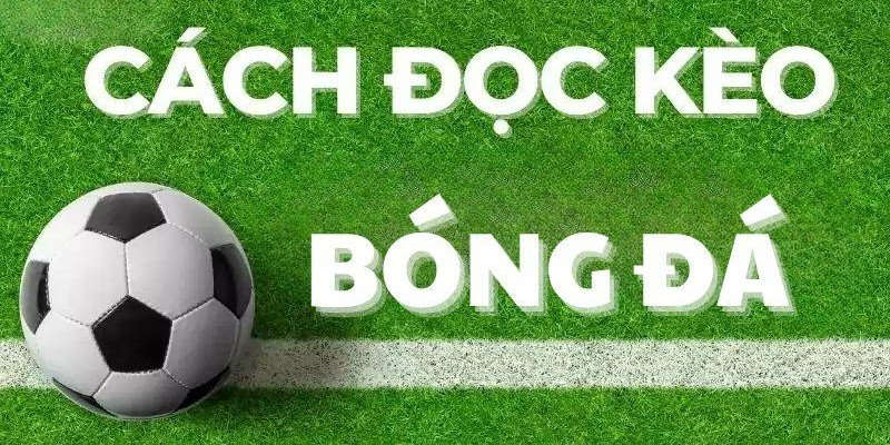 cach-doc-keo-bong-da-gioi-thieu